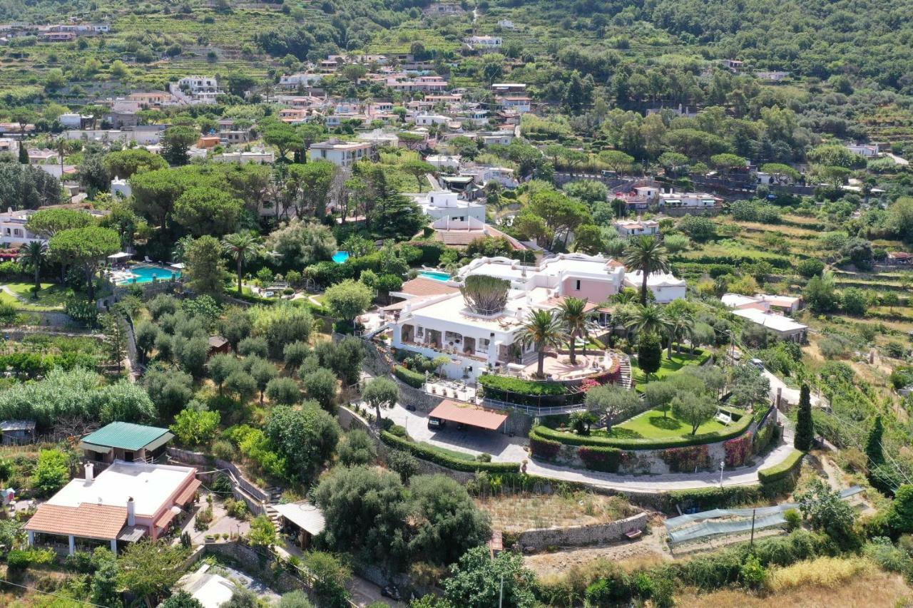 Junior Suite con Vista Piscina